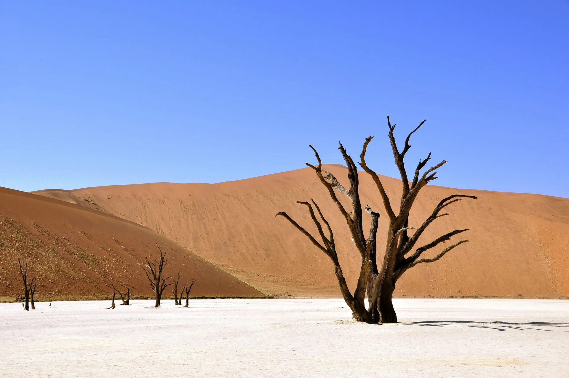 DeadVlei Sossusvlei