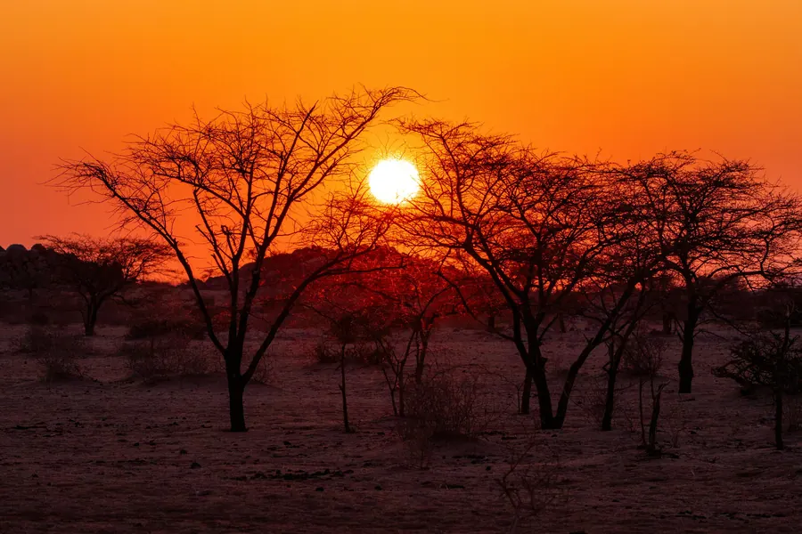 Sonnenuntergang im Busch